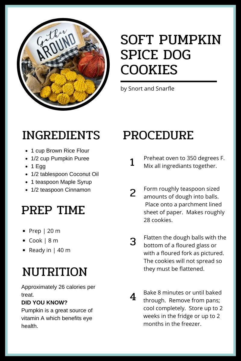 Recipe card for Soft Pumpkin Spice Dog Cookies