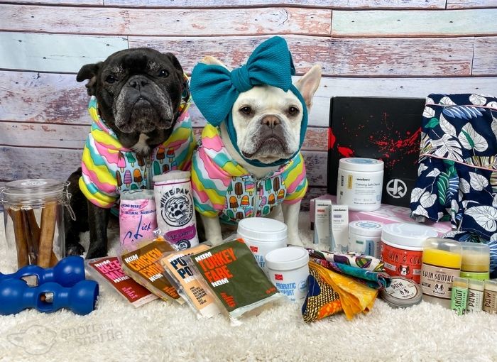 French Bulldogs surrounded by dog products
