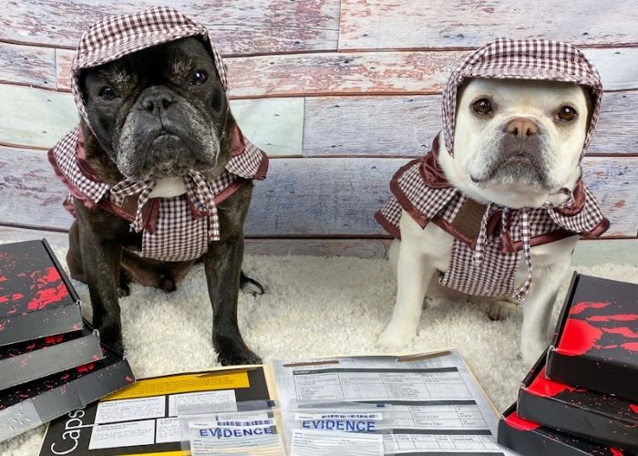 French bulldogs dressed as detectives.