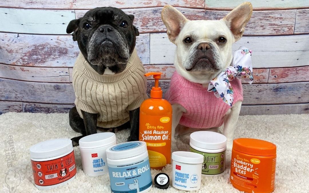 Our Top 7 Dog Supplement Recommendations