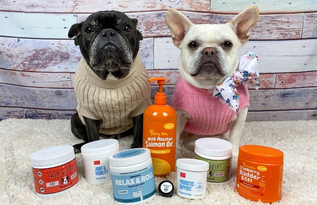 two french bulldogs with supplements